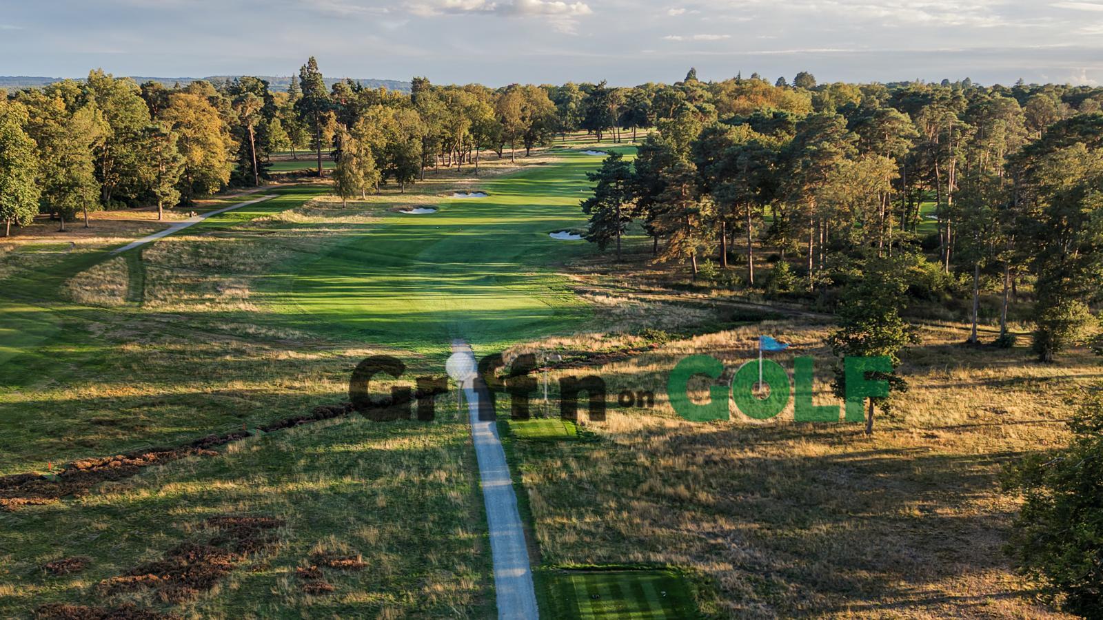 Hampshire Hog North Hants